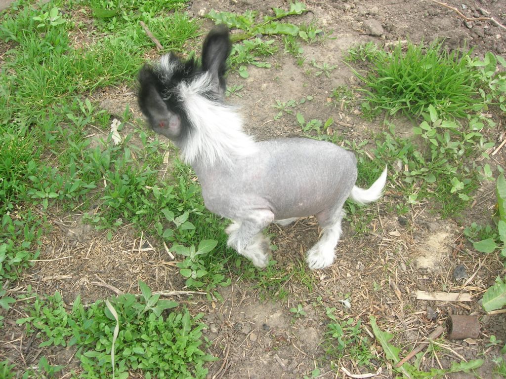 Rovanni Djekattolo Helga Pataki