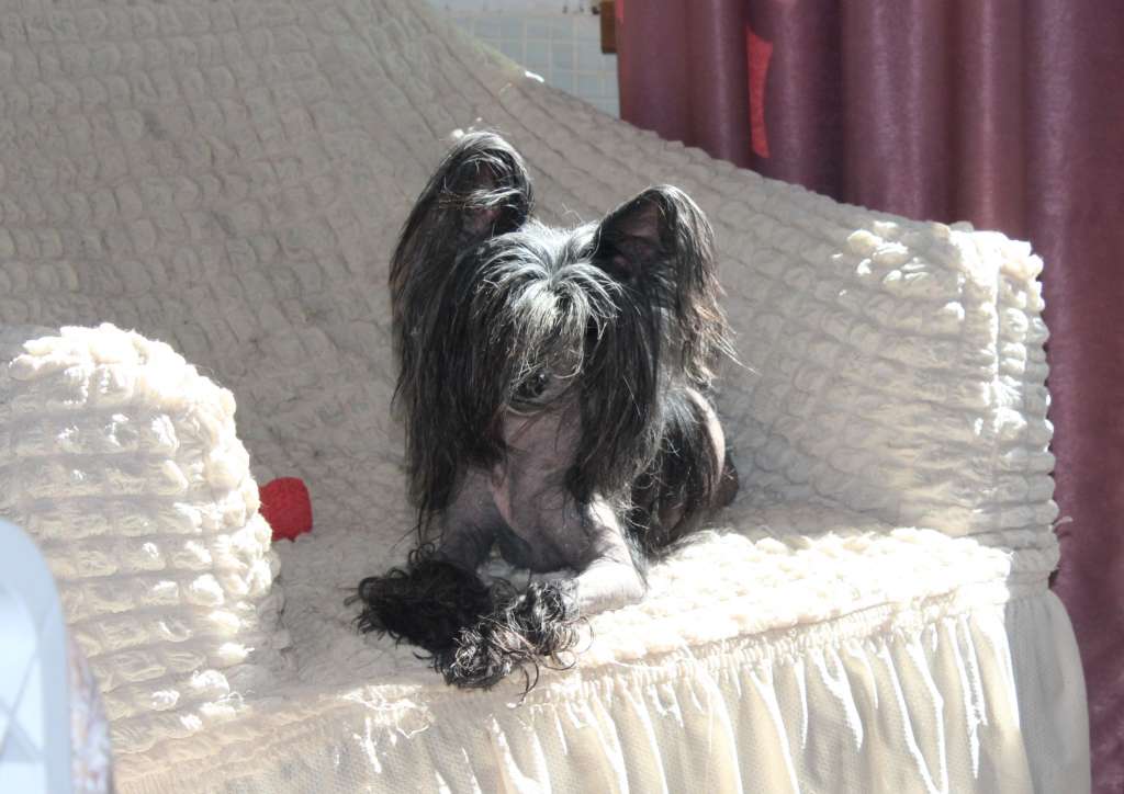 Elfgrace Valdo Vegas