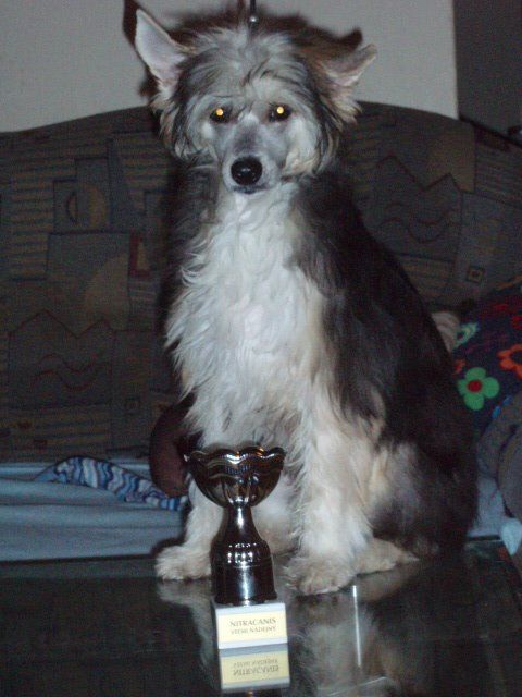 Fid Amicus  z BoniKi