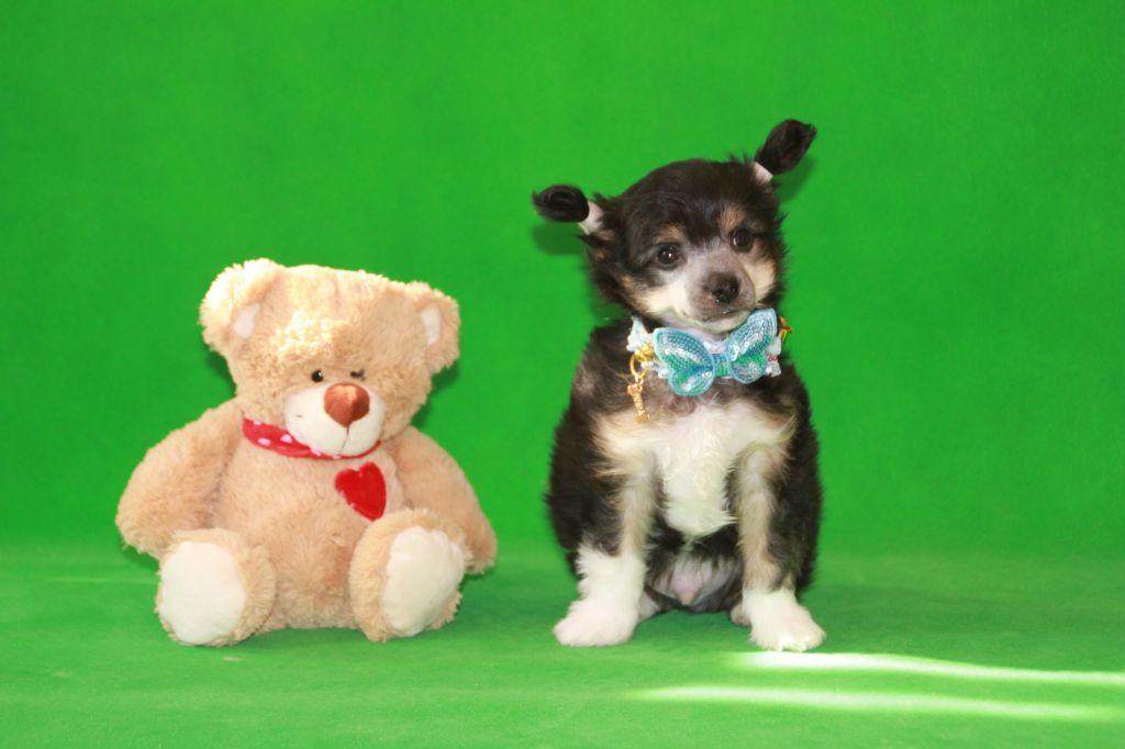 Olegro Katrin Iglessias