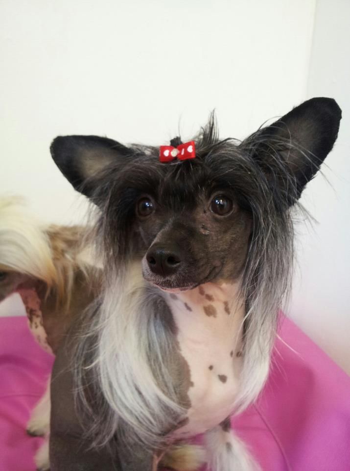 Spirit Of Mantra's Rigmor 