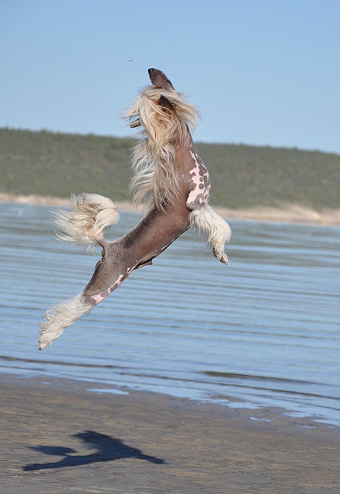 A heartbreaker by Angel-Crest