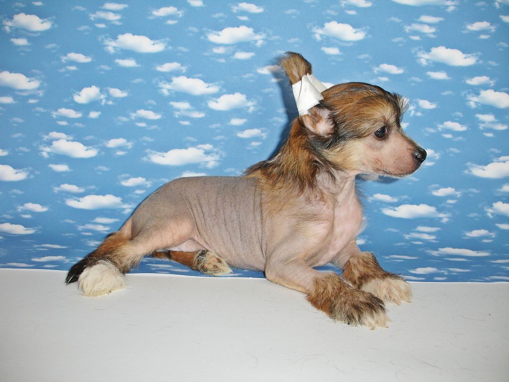 Rouber Balt  Sigulda