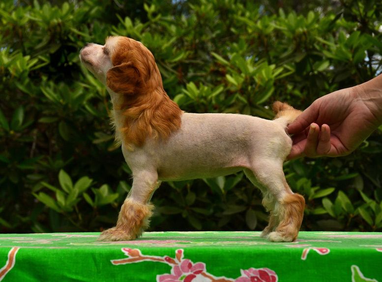 Cool Crowd's Zoe Is A Weirdo