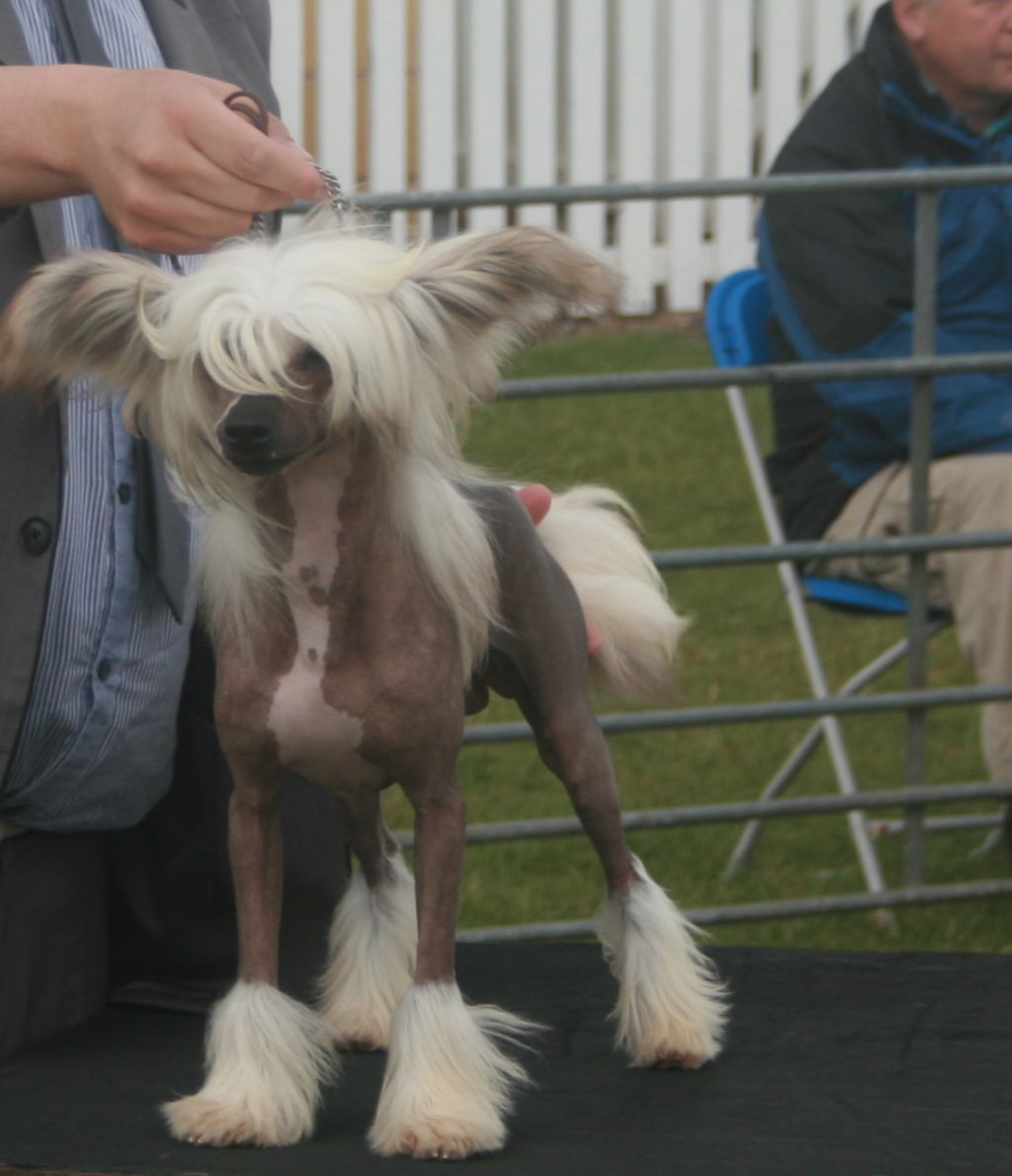 Habiba Shoulda Been A Cowboy