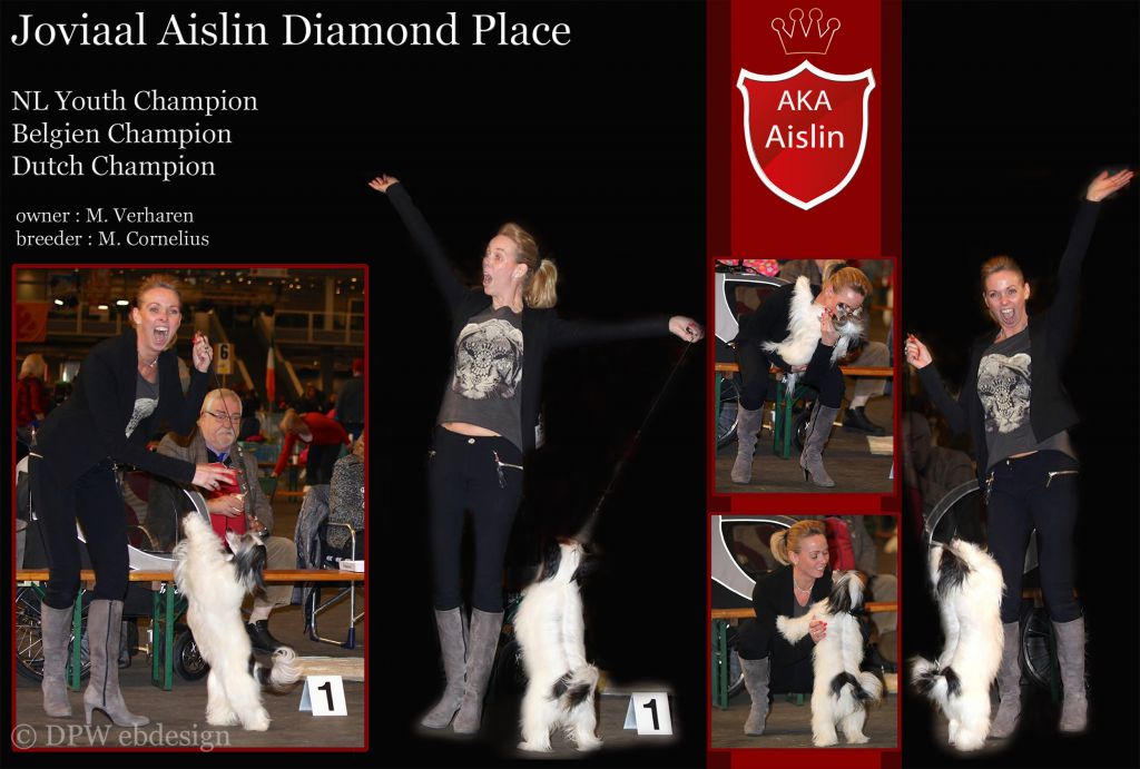 Joviaal Aislin Diamond Place