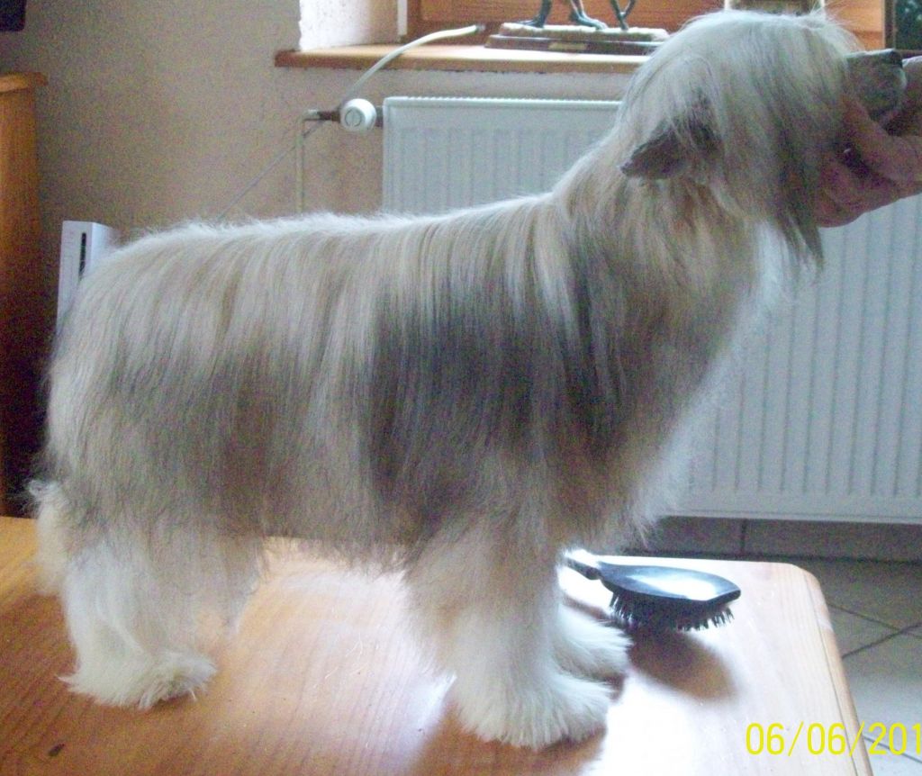 Suaisa Newbourne amie