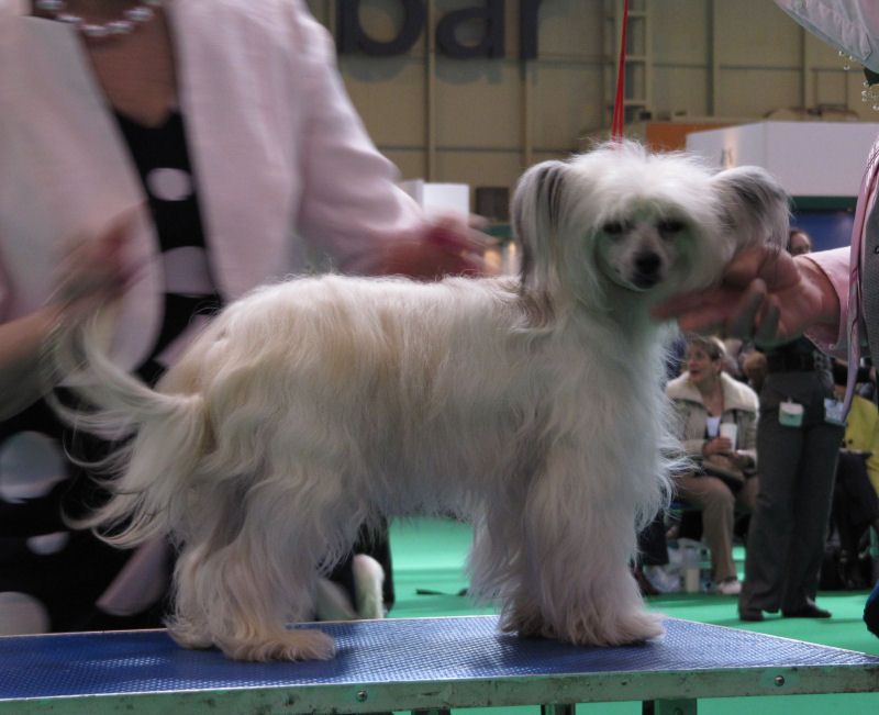 Bryelis B'witched With Garnox