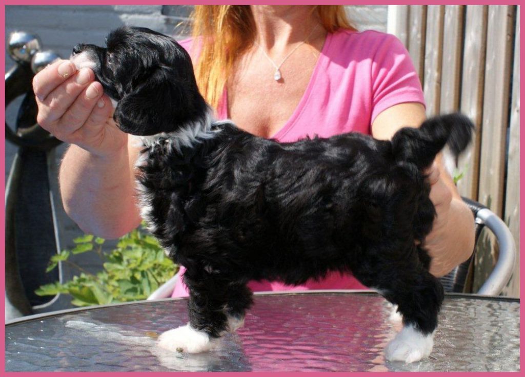 Atreya of Samira's Paradise