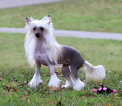 Omegaville Picture This