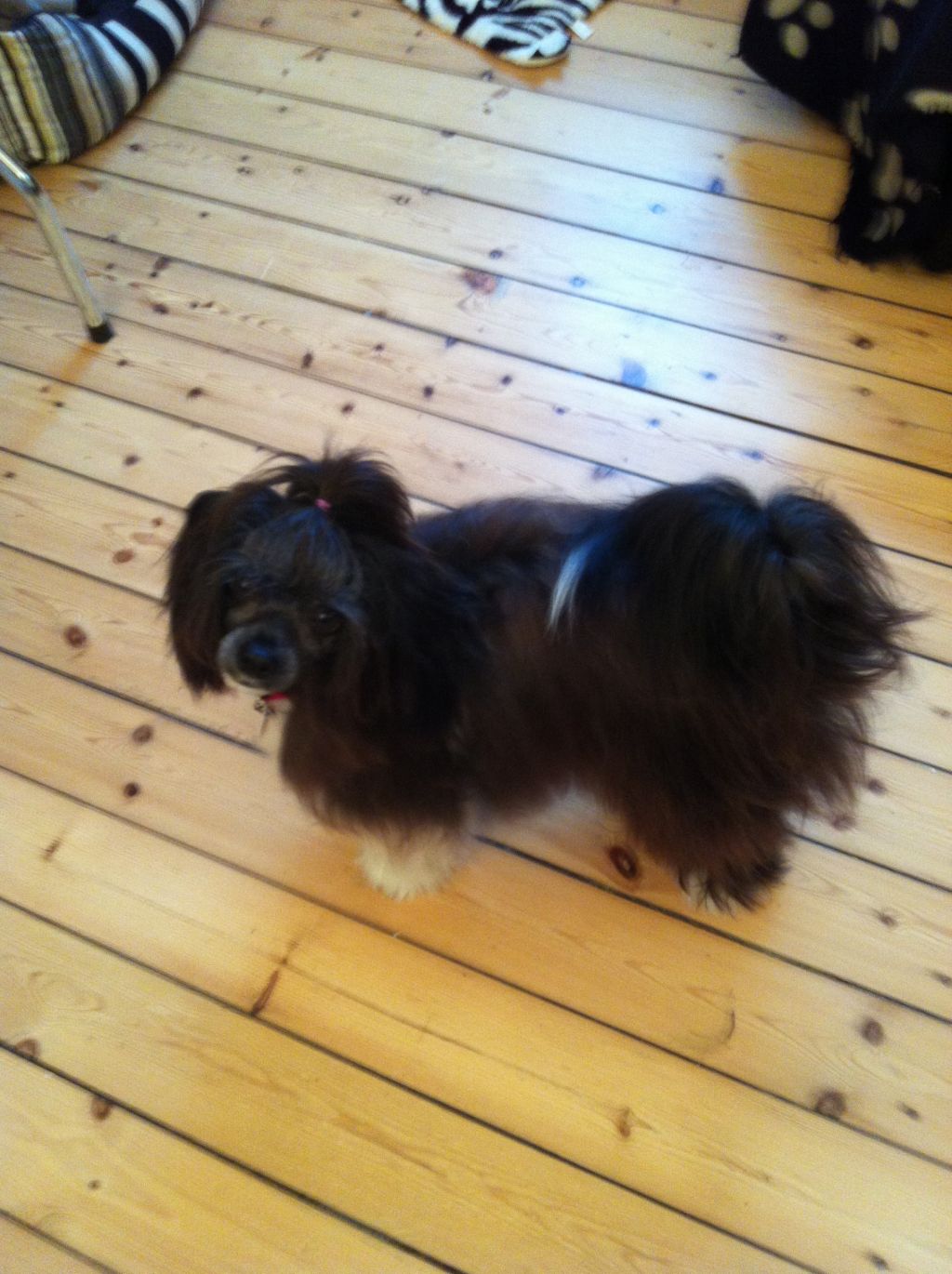 Absolute Souls MilkyWay