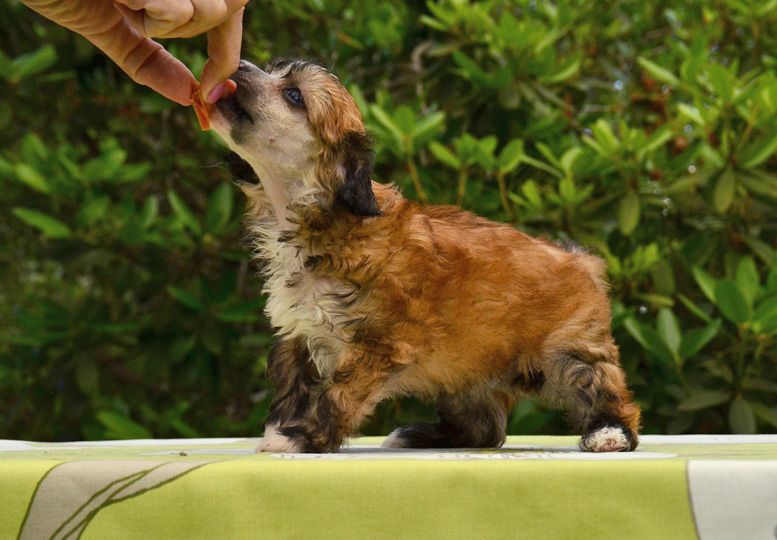 Cool Crowd's Tara Knowles