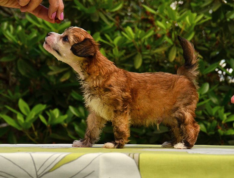 Cool Crowd's Clay Morrow