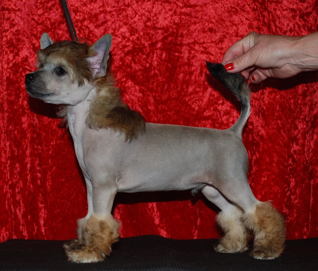 Amyfield Makes Me Smile