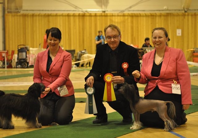 Shandor's Kidding Khichi