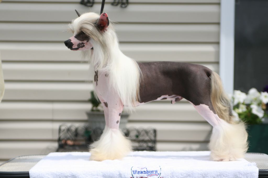 Whispering Lane U Stole My Name