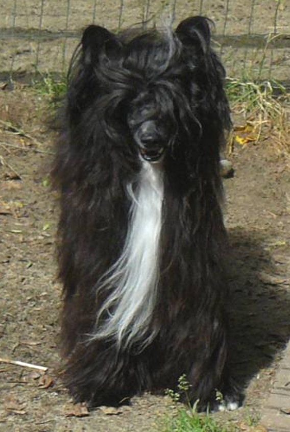 Kim Top Model De Rama