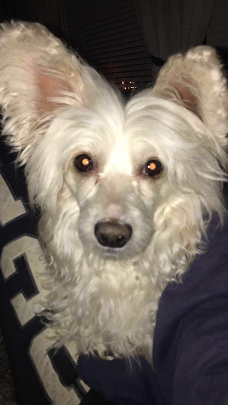 Absolute Souls Way You Make Me Feel