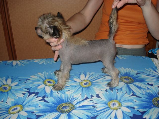 British Glori Sanni Smail