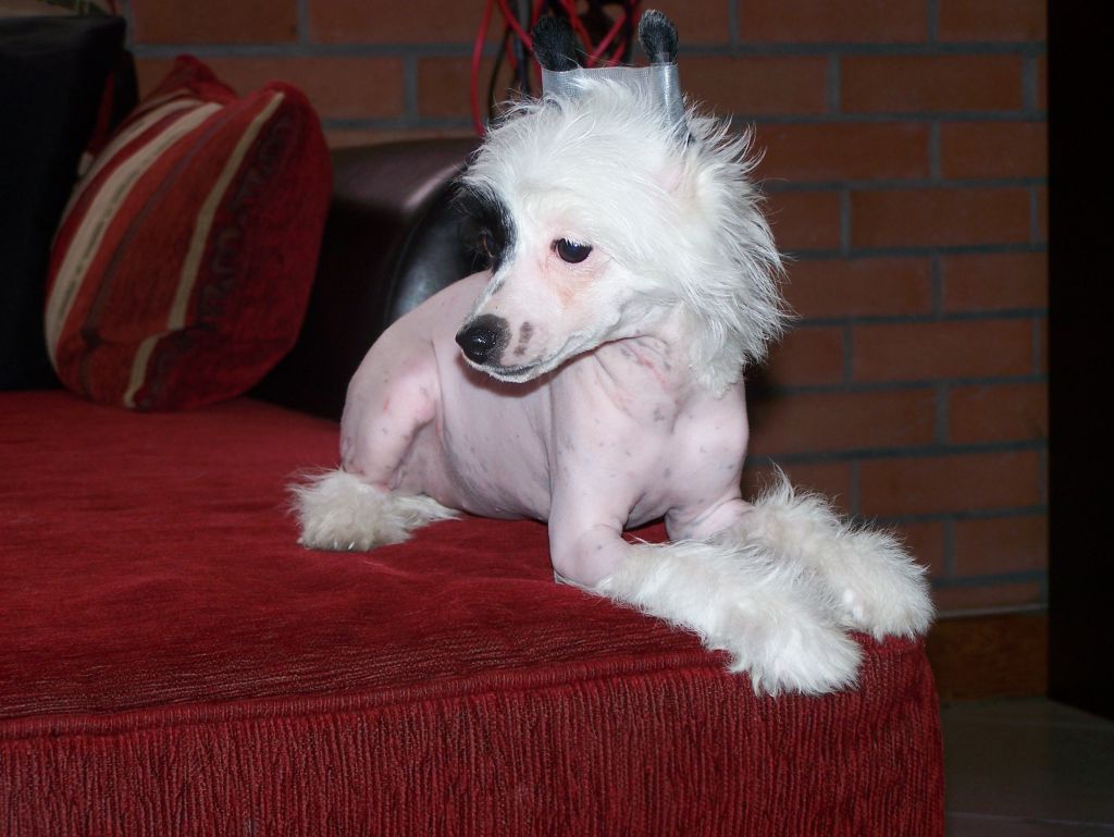 Gamine Minie Chti Coup de Patte