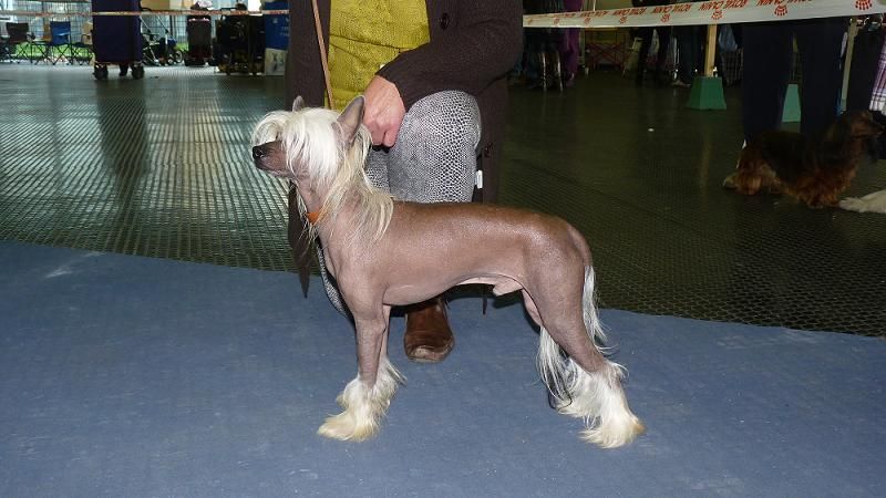 French Kiss Of Pastime Paradise