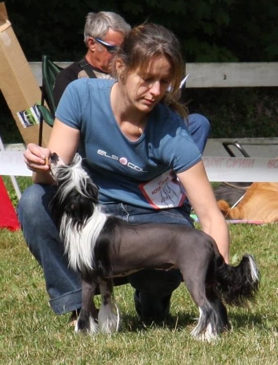 Beyoncé Santa La Vida