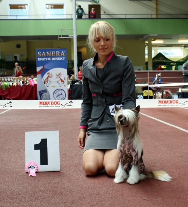 Baif Brave Brilliant