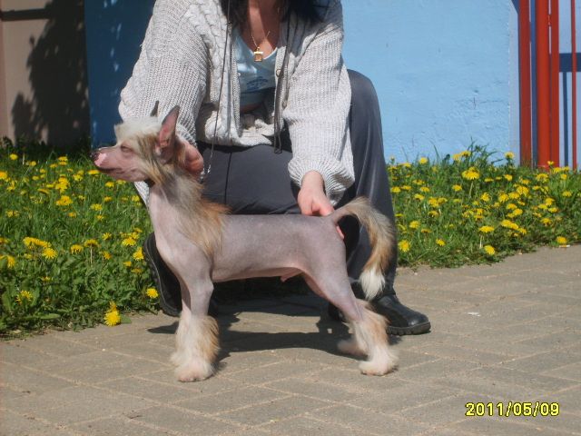 Orero Lovely Passo-Limai