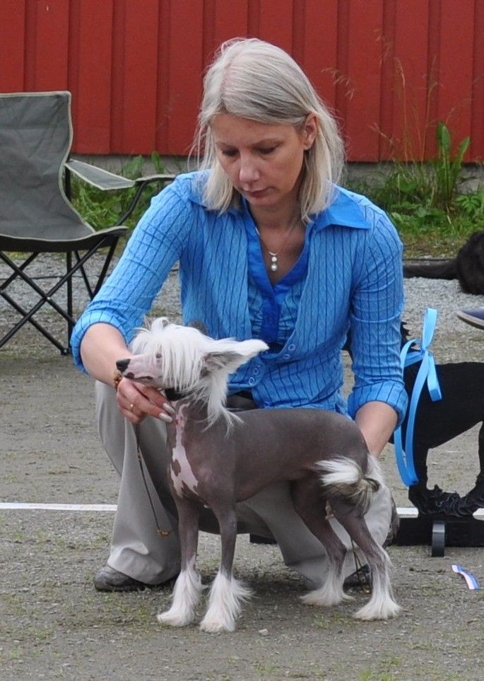 Reject's Lucky Thirteen