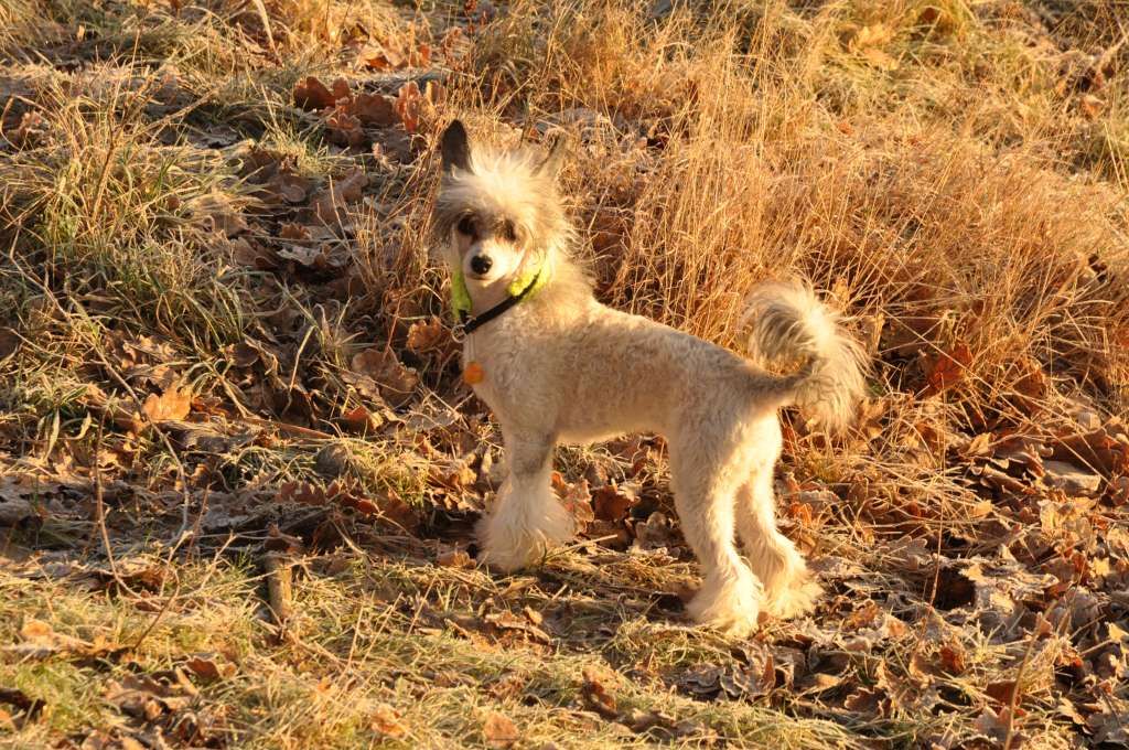 Desireme I'm Into You