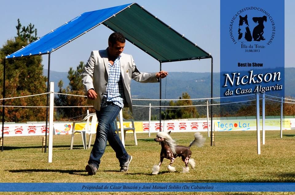 Nickson da Casa Algarvia