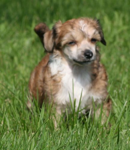 M-ligans Faith Stepped In