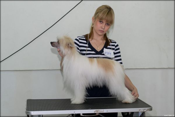 Rus Foreva  Amor Adamar