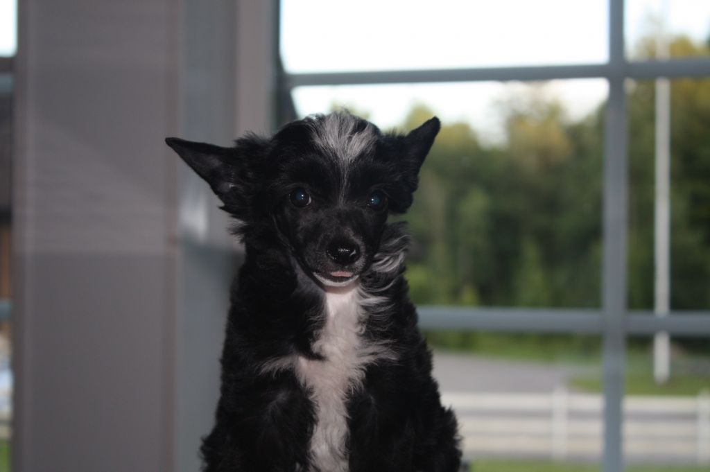 Inya Dreams Makes People Talk