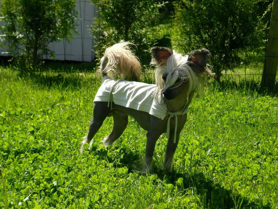 Absolute Souls Whataya Want From Me