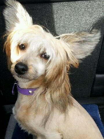 Absolute Souls Sleepwalker