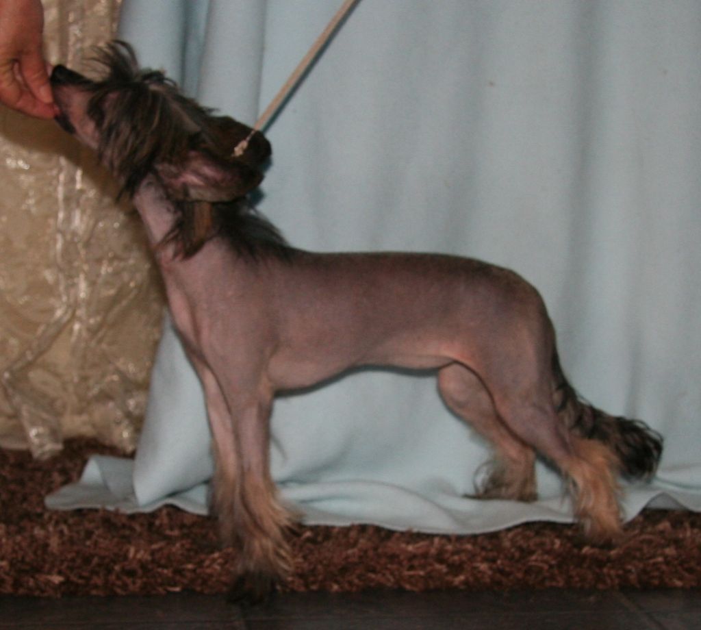 Absolute Souls No Boundaries