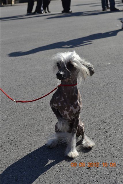 Justin a gift from heaven