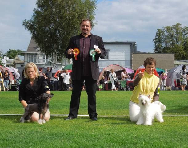 Golden Diamond Cresteds Assante