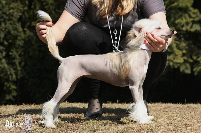 Borgia Lucrezia Maytay's Minng