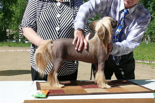 Zemliy Nadezdi Brilliantoviy Malchik