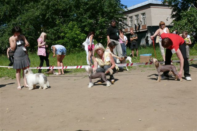 Zemliy Nadezdi Britni Spirs