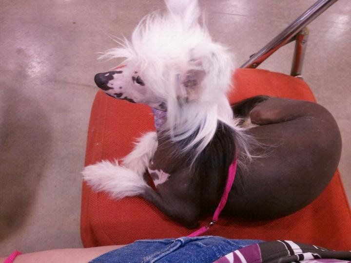 Flashmi's Sirius Jersey Shore