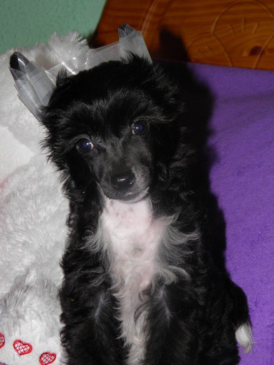 Kassia del Templo de los Dioses