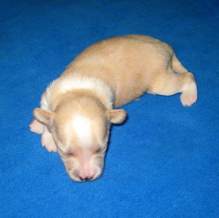 Jewels Leave Me Breathless