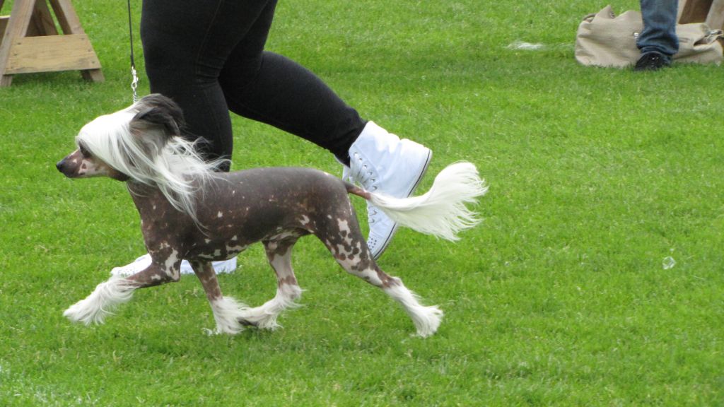 Bemu's Goes To Oldies