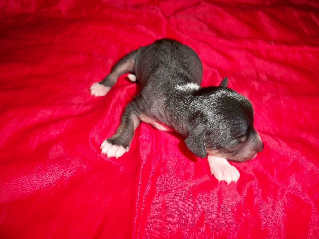 Akvarelka Kraski Leta