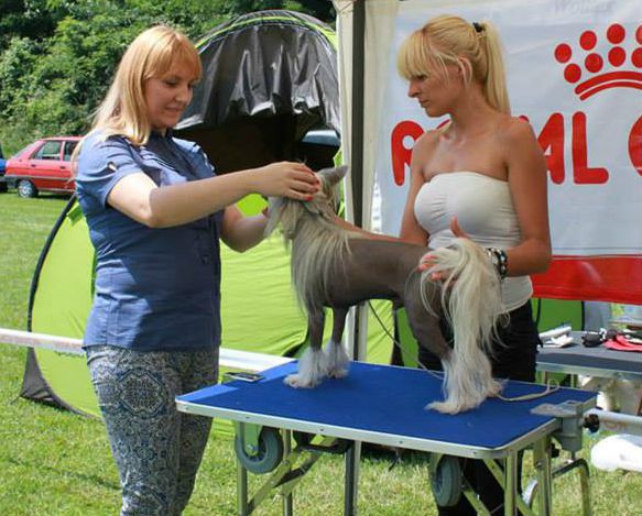 Zirkon z Jasne hvezdy