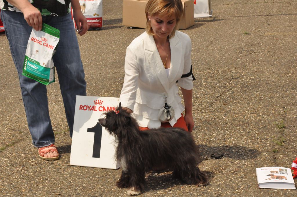 Yulian Amato Elia Fortunato (puff)