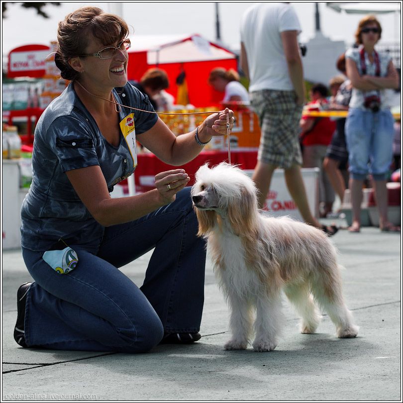 Samuel Adventurous Iz Strani Cvetov 